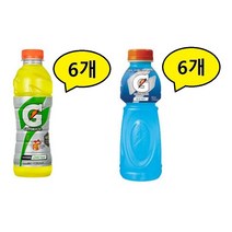 게토레이 레몬 6개 + 블루볼트 6개 총12개(600ml)