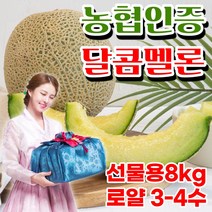 고당도 머스크 멜론 가정용 선물세트, 1box, 고당도 멜론 특품 3~4수