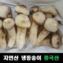 송이버섯 자연산 냉동 중국산, 1등급 1kg