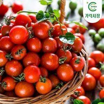 [온도씨] 가락시장 방울토마토(500g), 상세 설명 참조