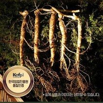[AMISO] 농약과 비료없이 오직 스스로 자라난 국내산 산양산삼 5-6년근 고지대 자생 산양삼, 130g