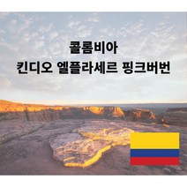 원두공방 [스페셜티] 콜롬비아 킨디오 엘플라세르 핑크버번 내추럴 200g 500g 1kg, 홀빈(분쇄 안함)