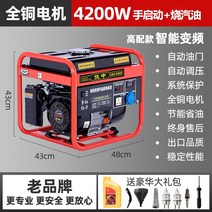 가정용 가솔린발 정음 소형차 싱글 외모 380 5KW3 소형발전기, T13-지능 주파수변조)4.2KW 수동