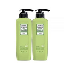 닥터윌리엄제이프로젝트 닥터윌리엄제이 더마 시카카이 그린티 쿨 지성 두피 샴푸 500ml x 2개