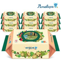 페넬로페 3세대 세자린 캡형 70매X10팩, 단일옵션