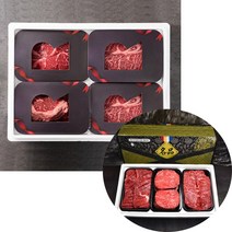 꿀꿀도매 한우 1++ 프리미엄선물세트 (불고기 국거리 산적 등심 안심 채끝) 소고기세트, 한우 프리미엄선물세트 1호