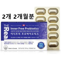프로바이오틱스 프리바이오틱스 100억 코 장면역유산균 소장 대장 생존 생균 장밀착 장용성 유산균 2개월분, 500mg, 2box