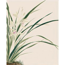 쉬운 diy피포페인팅 사군자 매화 난초 국화 대나무 매란국죽 행복 재물 풍수 수묵화 동양화 색칠하기 선물용 슬기로운 취미생활 집중력향상 스트레스 해소 그림그리기 소품, 사군자그리기도안14, 40*50cm(액자프레임포함)