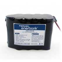 페어맨 에너뱅크 리튬이온 배터리팩 KC 인증 팩 모음, 리튬이온 배터리팩 10.95V 8250mAh 3S3P, 1개
