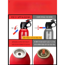 자동차 소화기 물 기반 개인 소형 휴대용 가족 소방 장비, 스테인리스 건조 분말 1KG