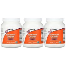 나우푸드 해바라기 레시틴 순수 분말 454g x3통 포스파티딜 콜린 이노시톨 에탄올아민, 1개, 기본, 1개