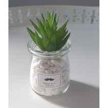 다육식물 미니화분 조화 인테리어 홈데코 탁상용 흰색 자연석 포함, 알로에