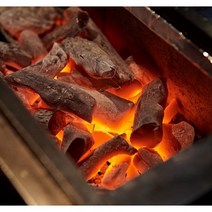 도매인싸 심각하게 오래타는 숯 1kg 비장탄 다량함유 바베큐 캠핑 참숯 품질보장, 숯 1kg 11개