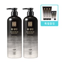 물들임 정품 리엔 흑갈색 샴푸 450ml 2개+ 트리트먼트 150ml 3개+ 2종 P447325, [선택-흑갈색 샴푸2개+트리트먼트3개+2종증정]