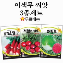 이색무 씨앗 3종세트 과일무 래디시 빨강소형무 종자 방울무 수박무 래디쉬 미니무 빨간무 씨앗 종자, 1개