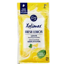 핀란드 직수입 고함량 자일리톨 질리맥스 후레쉬 레몬민트 35g 휴대용, 5개