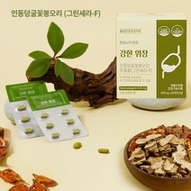 그린세라 F 강한 위장 위에좋은 금은화 추출물 위점막 보호 케어 위편한 위건강 영양제 속쓰릴때 소화안될때 인동덩굴, 1박스, 1개