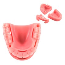 치아 모형 잇몸 수술연습 의대생 실습 연습도구 수술 훈련키트, 단품