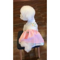 강아지한복 강아지 개량한복 애견한복 고양이설빔 강아지복건 강아지추석 고양이추석 고양이한복, 12