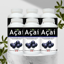 브라질 아사이 베리 500mg 비타민 C 리치 분말 캐나다 영양제 200캡슐 6개