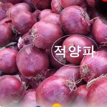 적양파 장아찌 3kg 신선농장