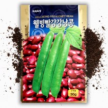 씨앗팜 빨강 강낭콩 종자 씨앗 (30g) 비넝쿨, 1개