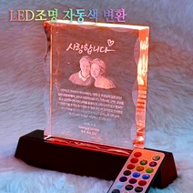 크리스탈 감사패 부모님감사패 회갑 칠순 퇴임 퇴직 교회 산악회 축구 공로패 문구 상패, 크리스탈 3D패 (2인초상)