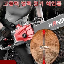 [독일품질] 다기능 대형 체인톱 고출력벌목전기톱 나무베어 벌목용 전기톱, 12인치 1 가이드 1 체인, 3000/12인치, 1개