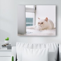 귀여운 고양이 사진 캔버스액자 (고객님 야옹이 사진으로도 제작 가능합니다), CAT08