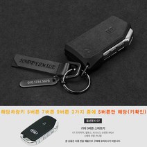 이지스오토랩 에어로 기아 신형 4세대 카니발 KA4 스마트 키홀더 키케이스 스마트키홀더 키링, 에어로S K-07 5버튼(그레이)