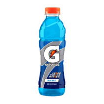 롯데칠성 게토레이 블루, 16개, 600ml
