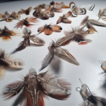 1분마켓 고양이 리필 미니윙, 미니윙(2P)