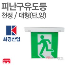 화경산업 피난구유도등 대형 천정 단면 양면 비상구 LED, 02-화경-피난/천정/대형-양면