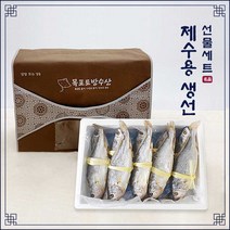 반건조 제수용 조기 10마리 (대 27~29cm) (고급선물포장) / 배 안갈라진 큰 조기 제사용 부세 내장손질