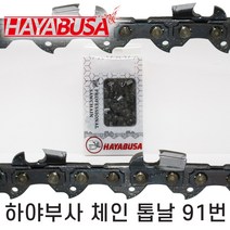 하야부사 체인톱날 91번, 31날