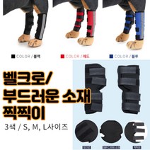 최강몰 강아지 말티즈 슬개골 쓸개골 고관절 골절 탈골 탈구 마사지 보호대 S M L 쓸개골보호대, 블랙S