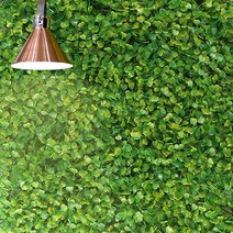 60x40cm 그린 매장 꽃벽 장식 인조장디 롤매트 옥상조경 마당시공 실내축구장 루프탑데코 정원만들기