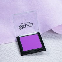 POMTOR 애견 강아지 고양이 볼터치 화장 염색 미용 반려동물 헤어초크 블러셔, 펫 블러셔-퍼플 4g(염색브러쉬)개