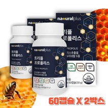 트리플 프로폴리스 추출물 60캡슐 X 2박스 그린 프로폴리스 레드 프로폴리스 브라운 프로폴리스 플라보노이드 비타민A 비타민B2 비타민D 비타민E 아연 셀렌 GREENPROPOLIS
