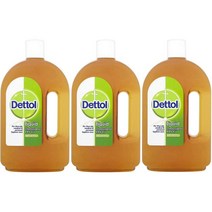 데톨 오리지널 액체 소독 살균제 750ml 3팩 Dettol Original Liquid Antiseptic Disinfectant, 1세트