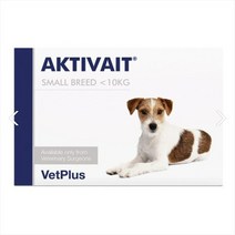 벳플러스 액티베이트 항산화 보조제 소형견 AKTIVAIT, DHA/EPA, 10kg, 1개