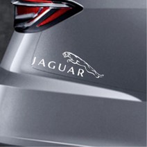 재규어 도어 범퍼 차량 익스테리어 자동차 스티커 손세차 고객서비스 데코, 옐로우