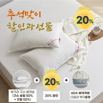 [KT알파쇼핑]프라우덴 헝가리산 구스 베개솜(솜털50%)+60수 베개커버선물 - 800g, 그레이