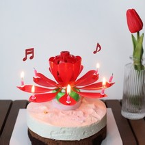 멜로디 연꽃초 생일축하 폭탄초 회전초 인싸 촛불 초, 향