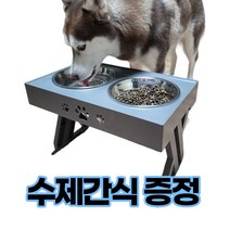 강아지밥그릇후기 추천순위 TOP50 상품 목록을 확인하세요