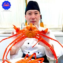 오늘의 속초 홍게 마가단 박달 대게 자숙 찜, [프리미엄]속초홍게3kg(8미내외/3인분)