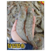 새우 특대 대하구이 새우 소금 구이용 캠핑 새우구이 세트 큰새우 대용량 1kg, 새우 소금구이세트 1개