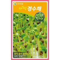 다농 새싹경수채씨앗 12g 향이 좋아 쌈채소로 새싹채소