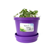 어린이집 유치원 식목일행사 식물키우기 3개 미술활동