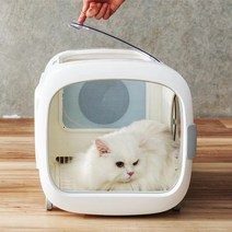 반려동물 드라이룸 자동 가정용 고양이 강아지 드라이기 털, A